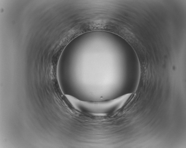 X0000054410224200507291151