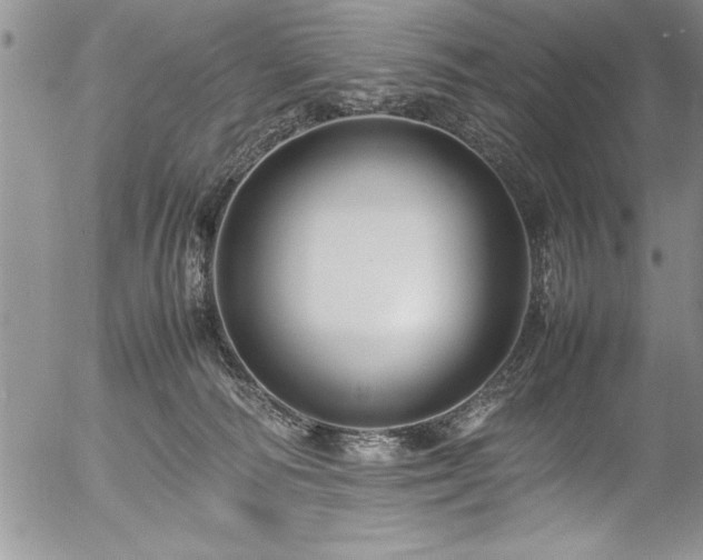 X0000054410226200507291151