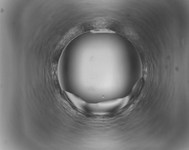 X0000054410237200507291150