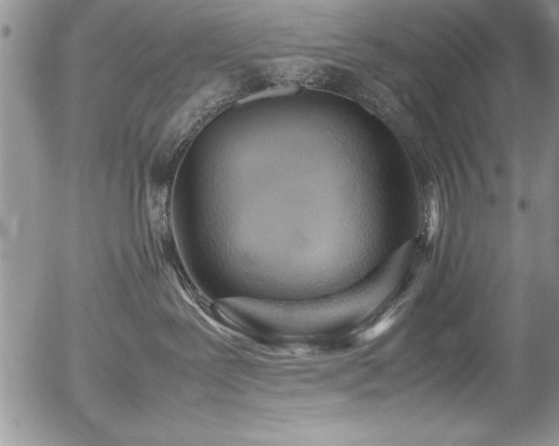 X0000054410239200507291150
