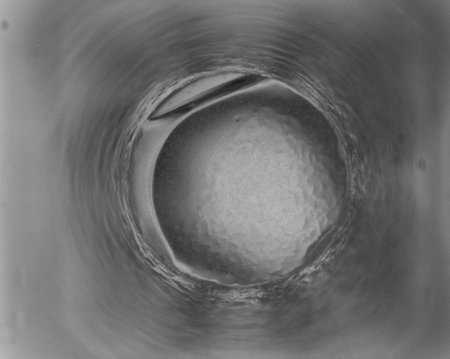 X0000054410241200507291150