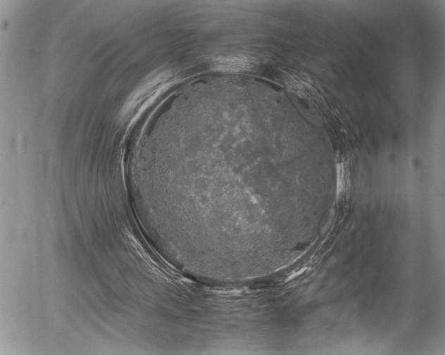 X0000054410243200507291150