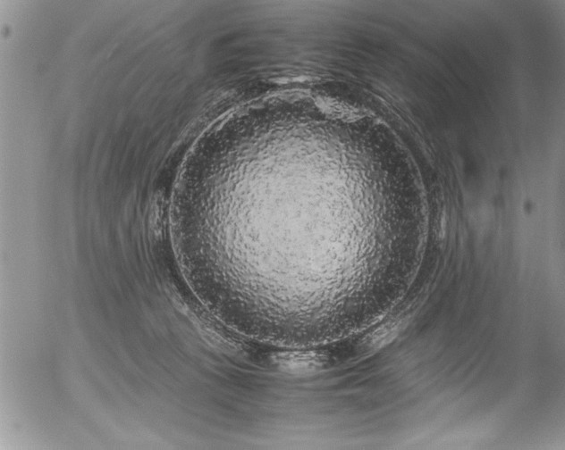 X0000054410273200507291150