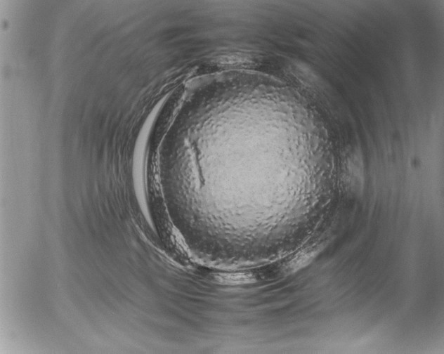X0000054410281200507291150