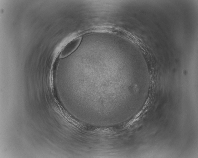 X0000054410294200507291149