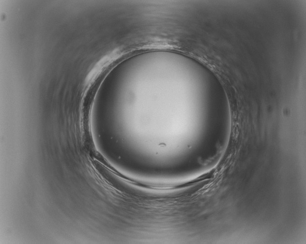 X0000054410296200507291149