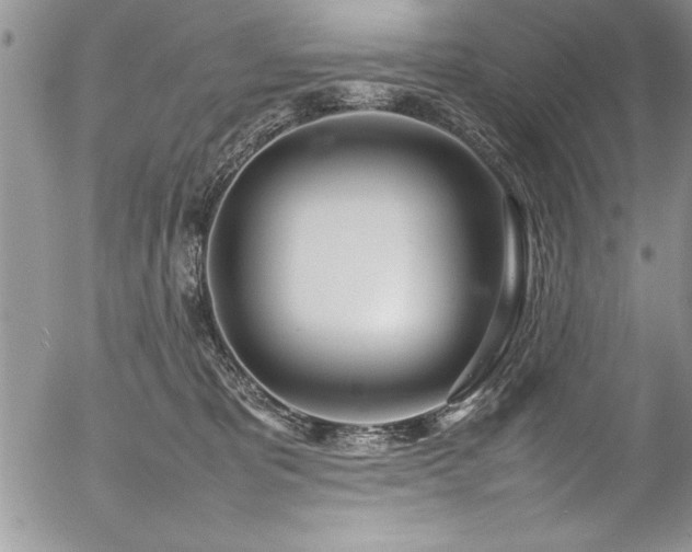 X0000054410325200507291149