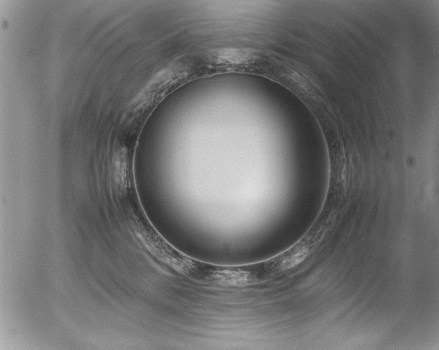 X0000054410328200507291149