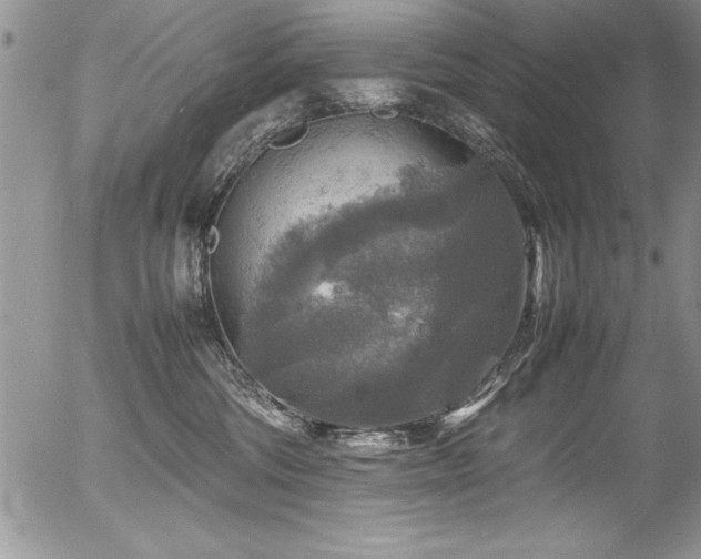 X0000054410330200507291149
