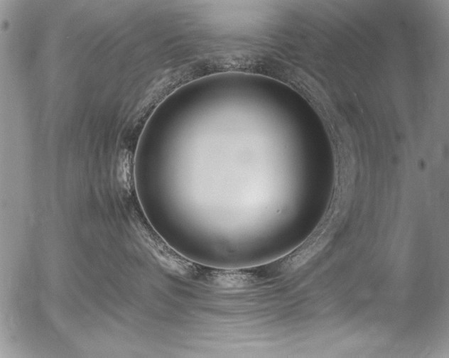 X0000054410336200507291149