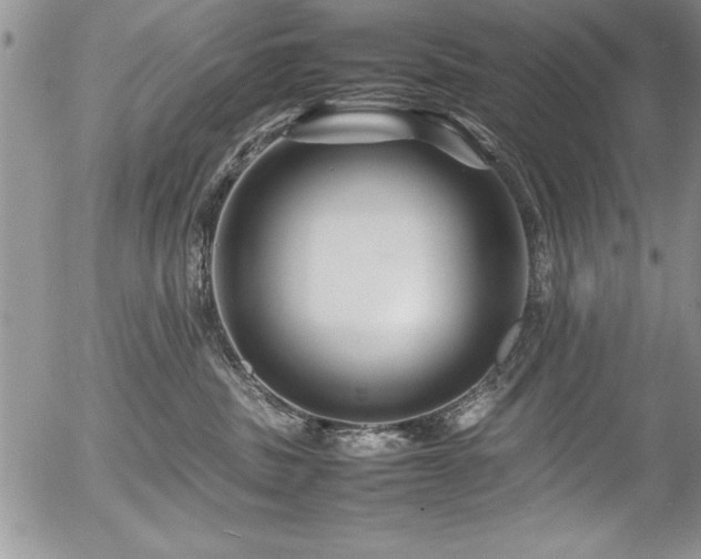 X0000054410379200507291149