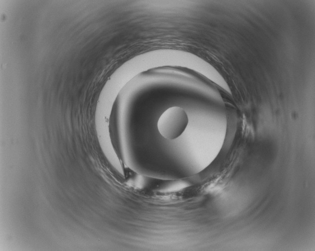 X0000054410380200507291149