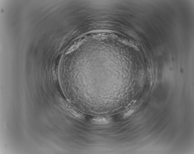 X0000054410381200507291149