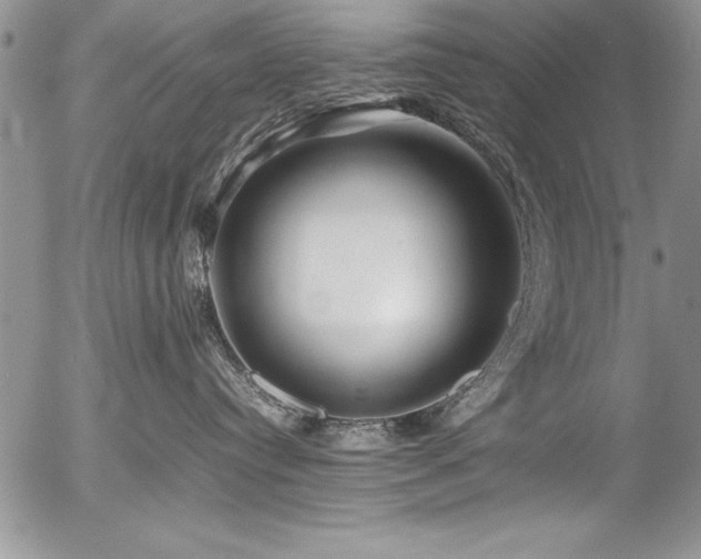 X0000054410384200507291149