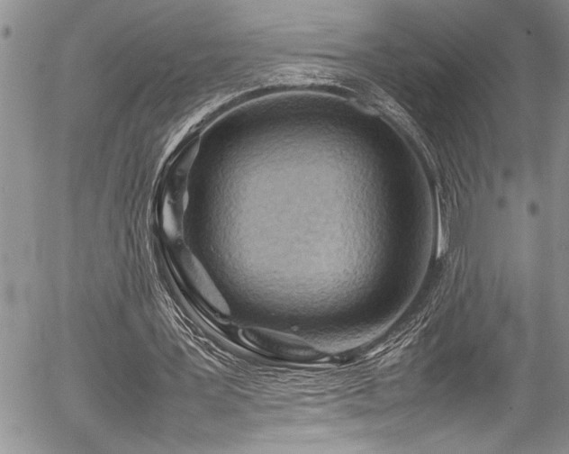X0000054410387200507291148