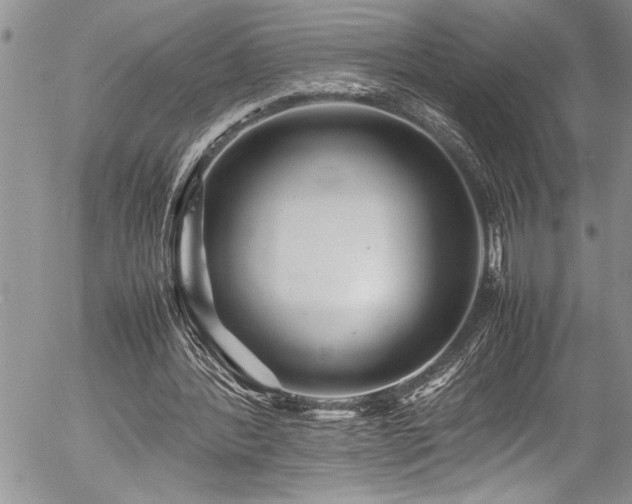 X0000054410388200507291148