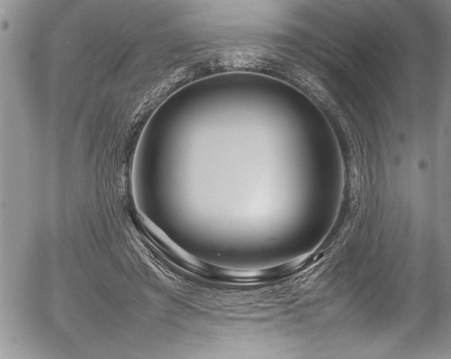 X0000054410401200507291148