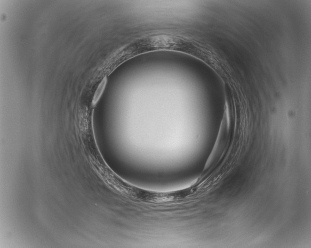 X0000054410413200507291148