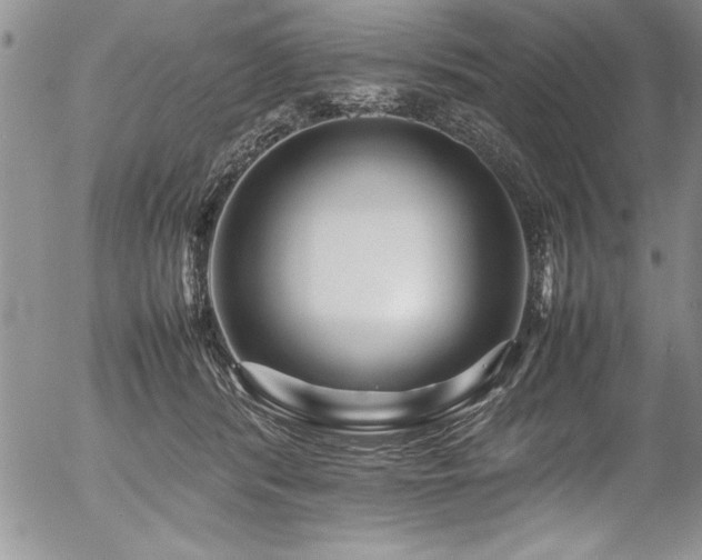 X0000054410416200507291147