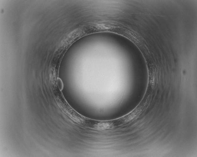 X0000054410418200507291147