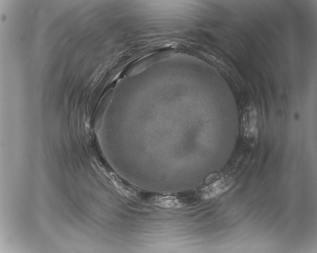 X0000054410424200507291147