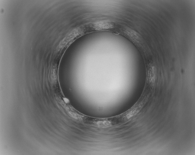 X0000054410426200507291147