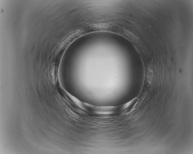 X0000054410428200507291147
