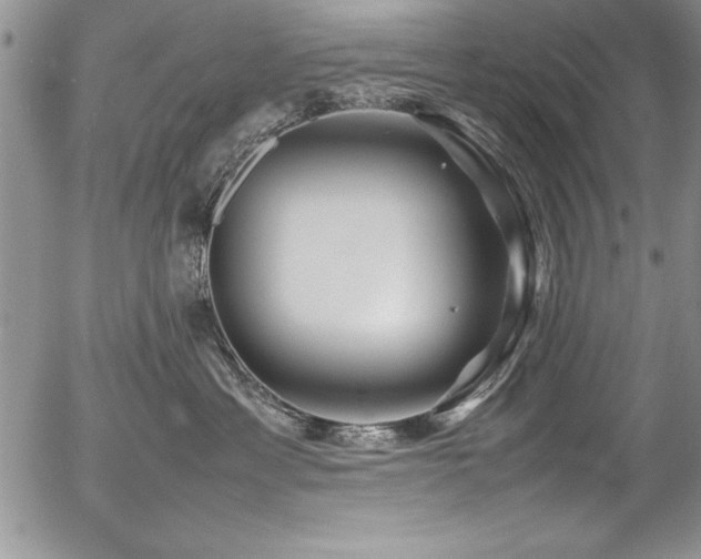 X0000054410429200507291147