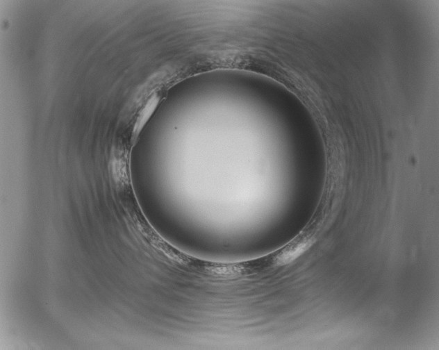 X0000054410432200507291147