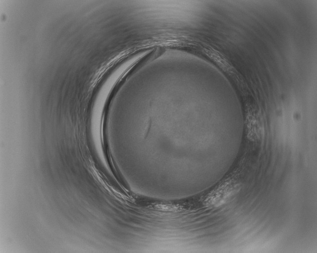 X0000054410442200507291147