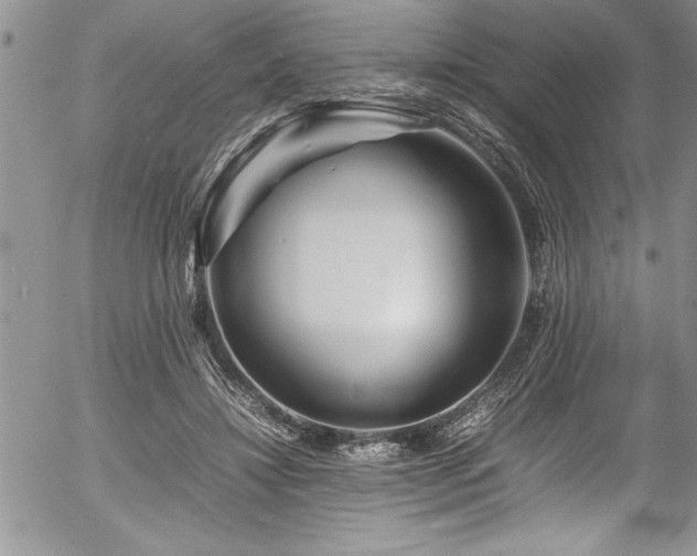 X0000054410452200507291147