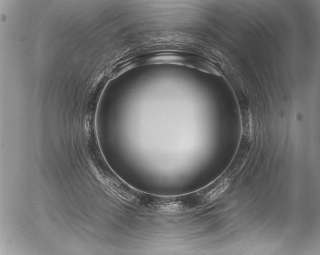 X0000054410456200507291147