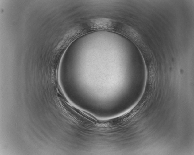 X0000054410457200507291147