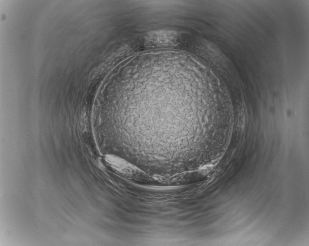 X0000054410465200507291147