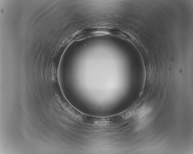 X0000054410470200507291147