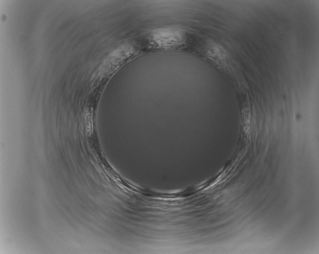 X0000054410471200507291147