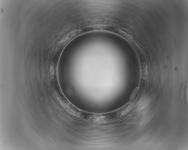 X0000054410472200507291147