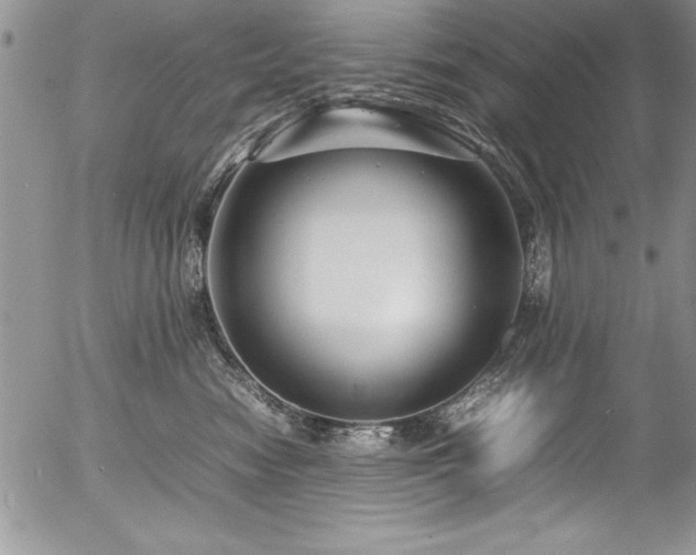 X0000054410474200507291147
