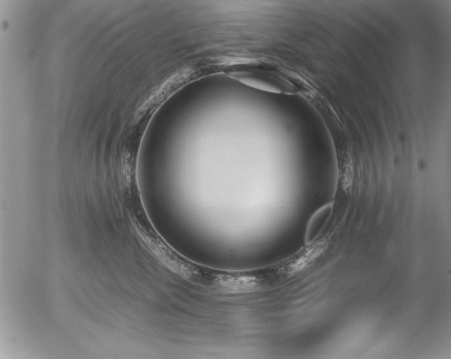 X0000054410476200507291147