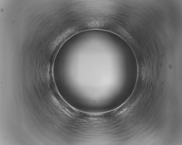 X0000054410490200507291146