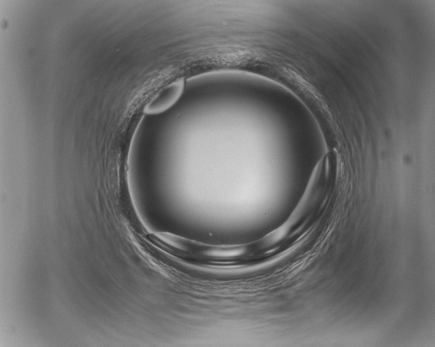 X0000054410493200507291146