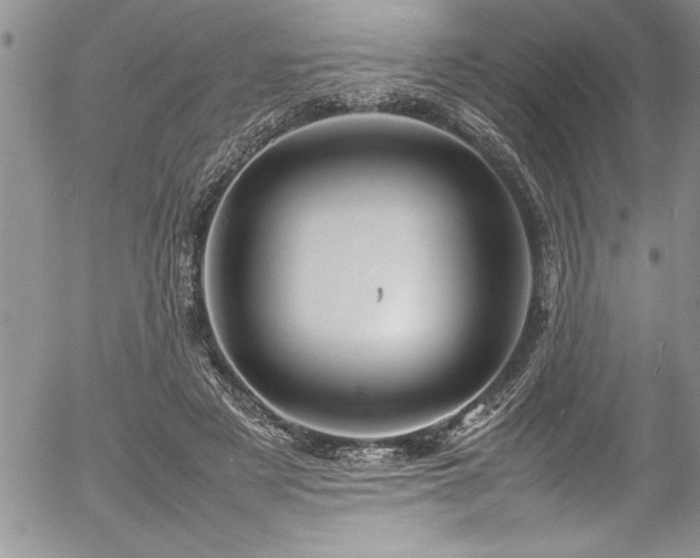 X0000054410497200507291146