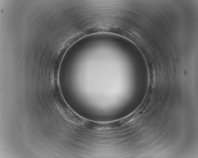 X0000054410500200507291146
