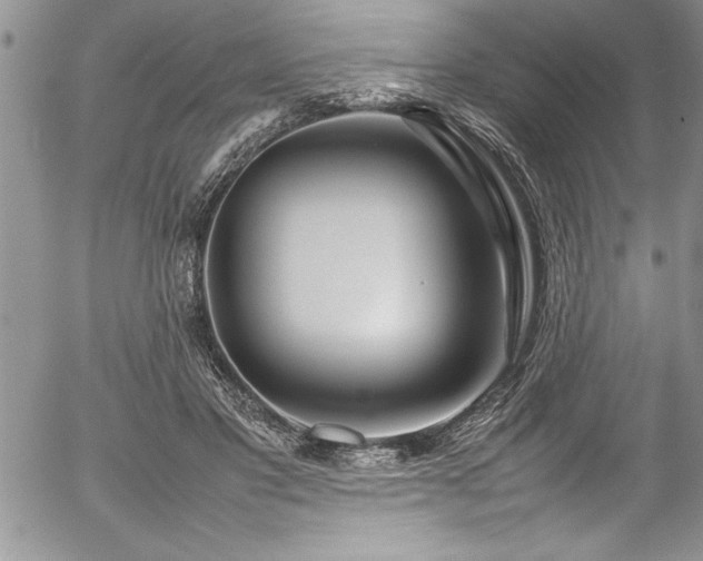 X0000054410501200507291146