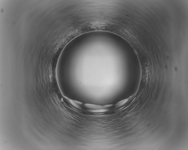 X0000054410508200507291146