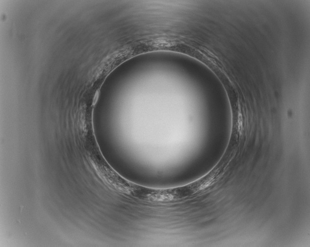 X0000054410512200507291146
