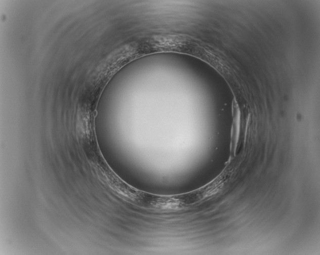 X0000054410514200507291146