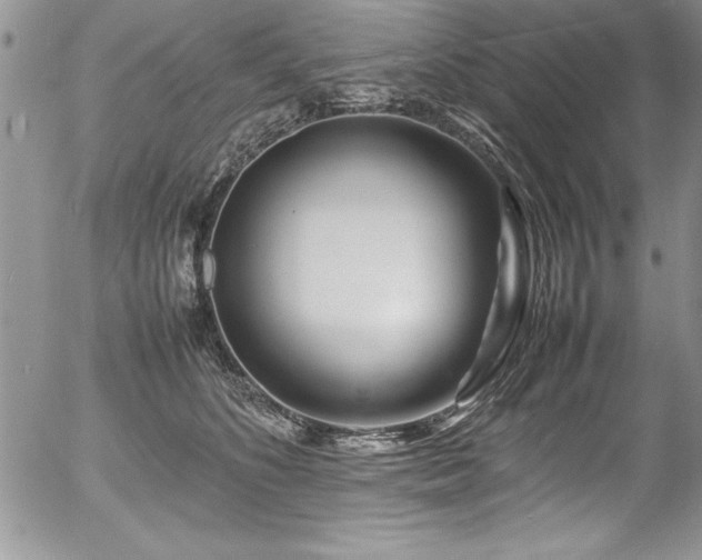 X0000054410516200507291146