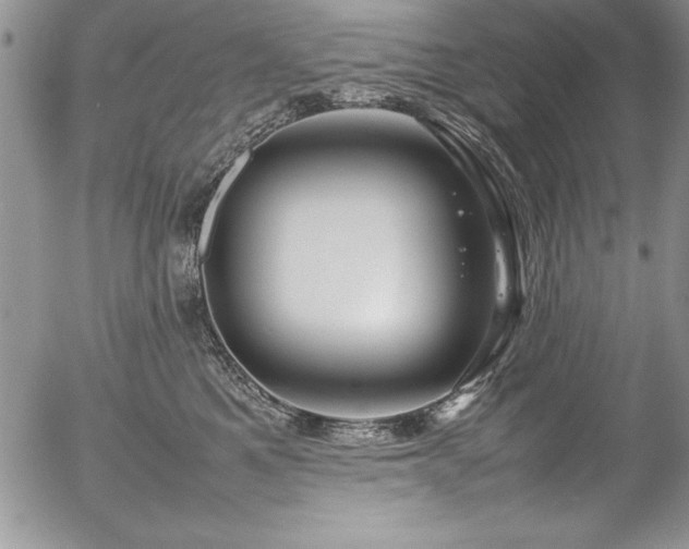 X0000054410521200507291146