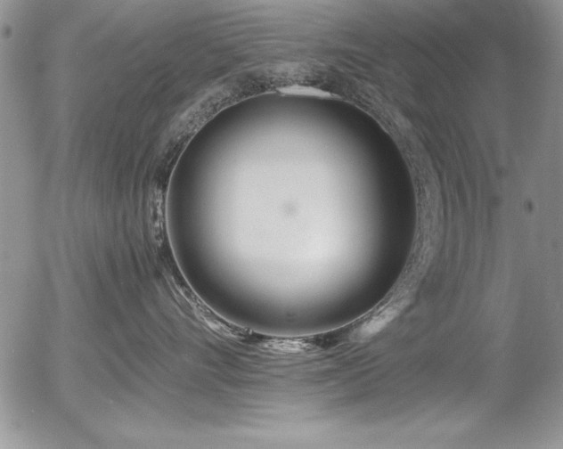 X0000054410528200507291146